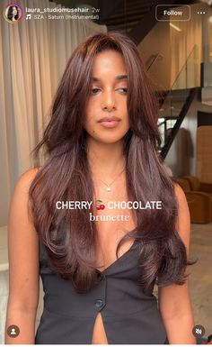 Long U Layered Hair, Bropper Hair Color, Makeup For Red Brown Hair, Dark Brown With Hint Of Red, Red Brown Hair Makeup, Best Hair Colours For Indian Skin, Cherry Chocolate Hair On Brown Skin, Brown Skin Colored Hair, Light Cherry Cola Hair Color