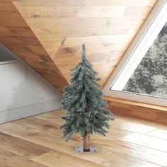 a small christmas tree sitting on top of a hard wood floor next to a window