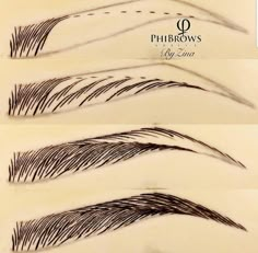 four different types of long lashes are shown in three separate images, each with the same length