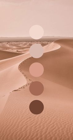 an image of a desert scene with circles in the sand