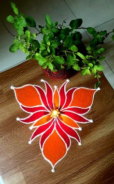 a red and white flower on the ground next to a potted plant