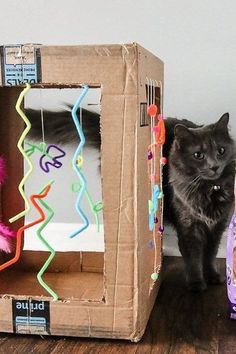 a black cat standing next to a cardboard box with decorations on the outside and inside