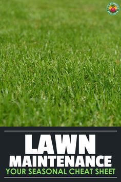 the lawn maintenance guide for lawn maintenance