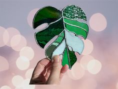 a hand holding up a green and white leaf shaped broochie on top of a pink background