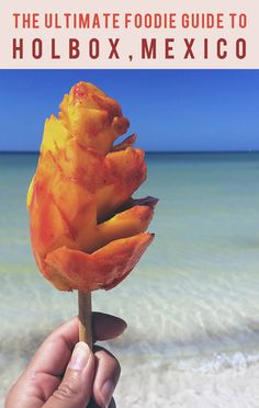 the ultimate guide to holbox, mexico with an image of a rose on it