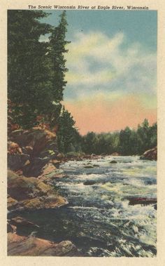 an old postcard shows a river with rapids and pine trees in the foreground