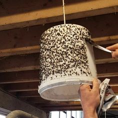 a person is holding a can with some kind of food on it and the ceiling is covered in bees