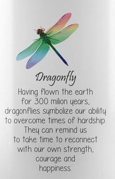 a dragonfly poem on a white background with the words,'dragonfly having flown the earth for 30 million years '