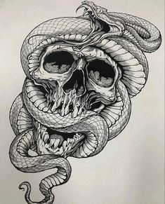 a drawing of a skull with a snake wrapped around it