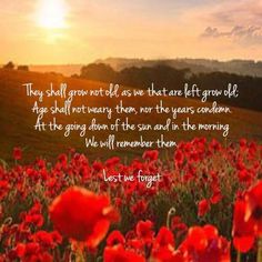 a field full of red flowers with the sun setting in the background and a quote written on