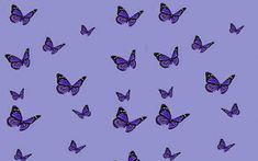 many purple butterflies flying in the sky