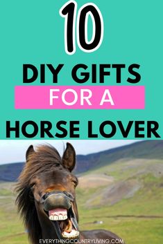 Easy to Make Personalized Gifts for a Horse Lover - Everything Country Living Diy Gifts For Horse Lovers, Horse Camp Crafts, Horse Diy Crafts, Personalized Horse Gifts, Easy Gift Ideas, Diy Horse, Horse Halters, Everything Country, Western Crafts