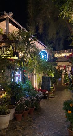 an outdoor restaurant with potted plants and lights on the side of it at night