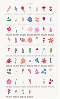 an illustrated poster with flowers and plants in different colors, sizes and shapes on white paper