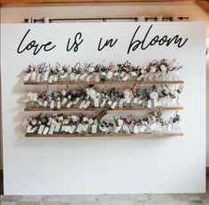 a sign that says love is in bloom on the wall