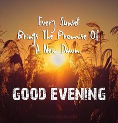 the sun is setting behind some tall grass with words on it that say, good evening