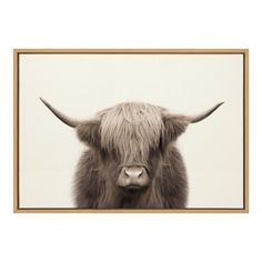 an animal with long hair standing in front of a white wall and framed photograph on the wall