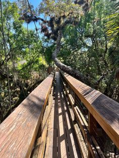 a wooden walkway in the middle of a forest