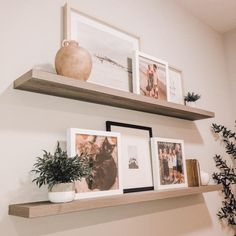 two wooden shelves with pictures and plants on them