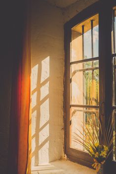 Window Light - Notice the Space Sill Life Photography, Light Coming Through Window, Window Light Photography, Light Through Window, Weaver Ant, Window From Outside, Light Moodboard, Afternoon Photography, Looking Through Window