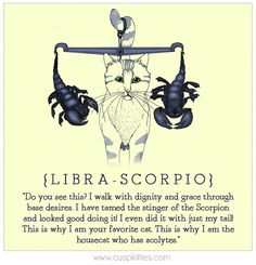 an image of a zodiac sign with scorpions on it's back and the caption libra scorpio