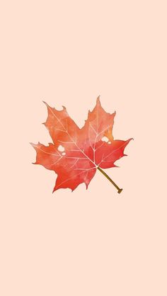 a single red maple leaf floating in the air