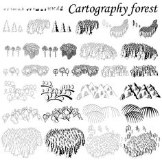 an image of various trees and animals in black and white, with the words cartography forest above them