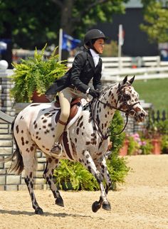 a woman riding on the back of a white and brown horse in a dirt field