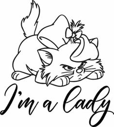 the word i'm a lady with an image of a cat on top of it