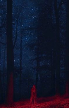 a person standing in the middle of a forest at night with red light shining on them