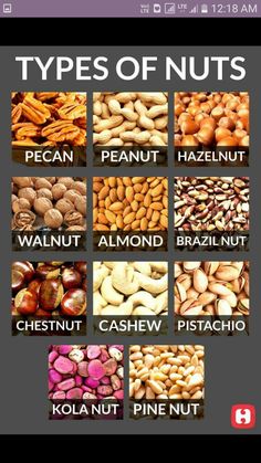 the different types of nuts are shown in this screenshoter's screen shot