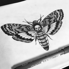 a black and white drawing of a butterfly with skull on it's back wing