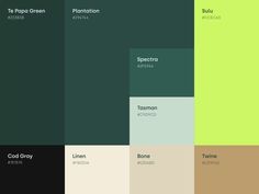 the color scheme for an interior paint palette