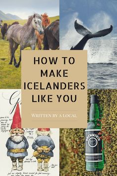 the cover of how to make iceland's like you written by a local artist