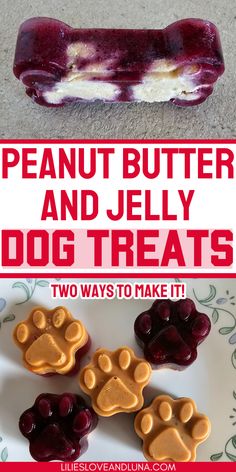 peanut butter and jelly dog treats on a plate with the words, how to make it