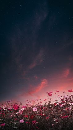 the sky is filled with stars and pink flowers