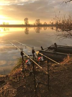 two fishing rods are sitting on the bank of a lake at sunset with trees in the background