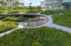 an outdoor garden area with green plants and trees in front of a glass walled building