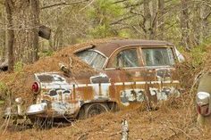 an old rusted out car in the woods