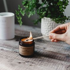 a person lighting a candle with a match stick in front of a potted plant