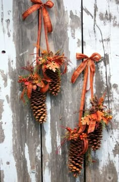 two pine cones decorated with fall foliage and bows hang on the side of an old wooden door