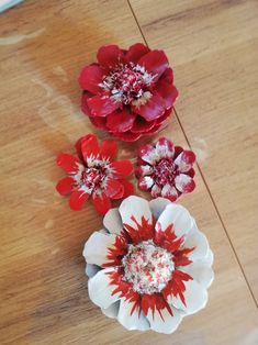 three red and white flowers sitting on top of a wooden floor next to each other