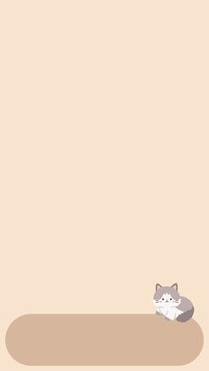 a cat laying on the ground in front of a beige wall with an empty space