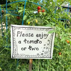 a sign that says please enjoy a tomato or two in front of some tomatoes and other plants