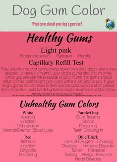 a pink poster with the words, healthy gums and light pink capillary refil