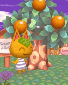 an animal crossing game with oranges on the tree and another character standing next to it