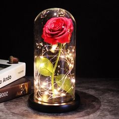 a red rose is in a glass dome with fairy lights on it and some books