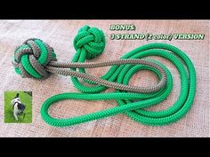 there is a green rope with a dog on it