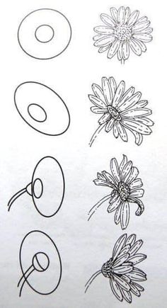 some flowers are drawn in black ink on white paper with the letters o and o