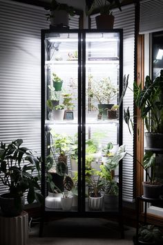 a refrigerator filled with lots of plants inside of it